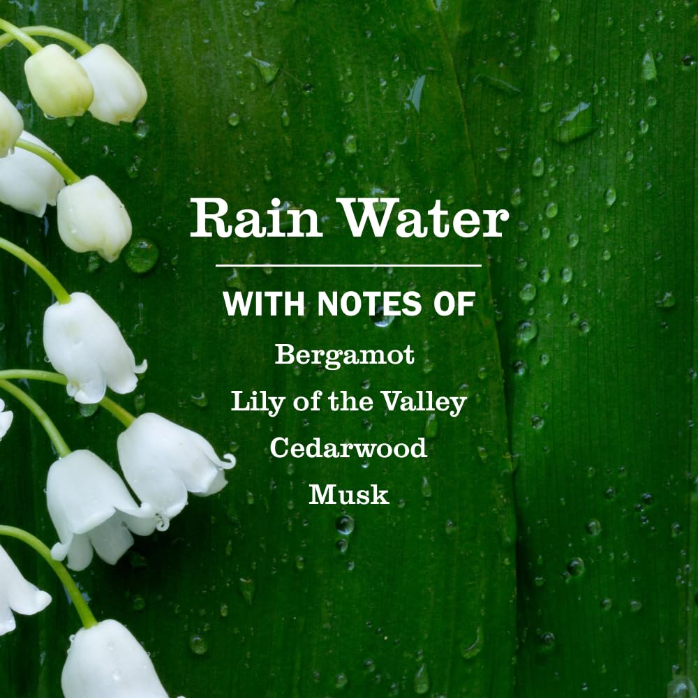 Mrs. Meyer's Clean Day Hand Soap - Rain Water Scent (3 Pack) | Non-Drying & Cruelty-Free
