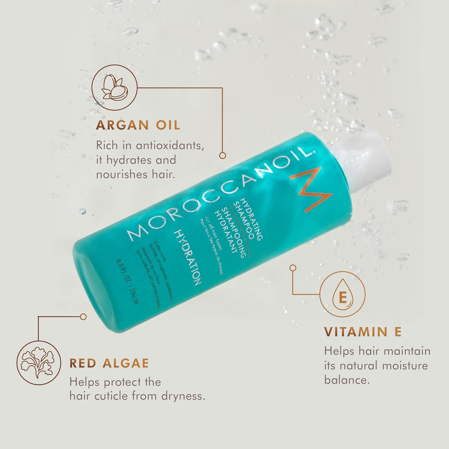 Moroccanoil Hydrating Shampoo for Dry Hair - Gentle Cleansing with Argan Oil & Red Algae