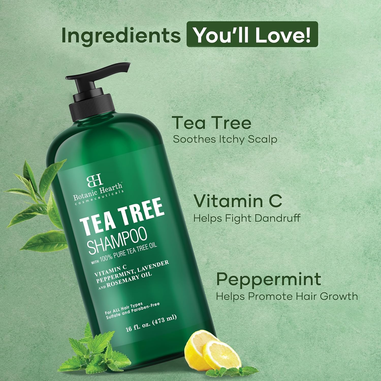 Botanic Hearth Tea Tree Shampoo for Dandruff & Dry Scalp - Vitamin C, Peppermint Oil, 16oz